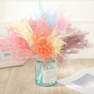 ǧH滨 ϻcûĔzӰ߷F SlFڡ