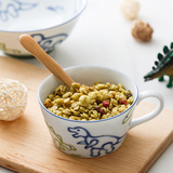 Японский импортный динозавр, мультяшная керамическая посуда, обеденная тарелка, принт