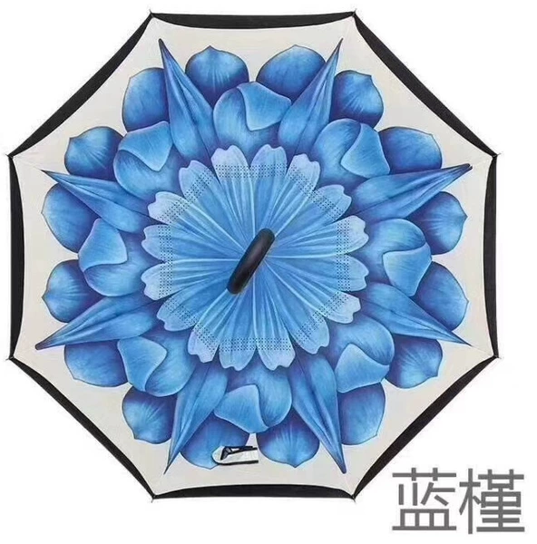 ♣◐◐◐◐♣Blue Hibiscus♣◐◐◐◐♣