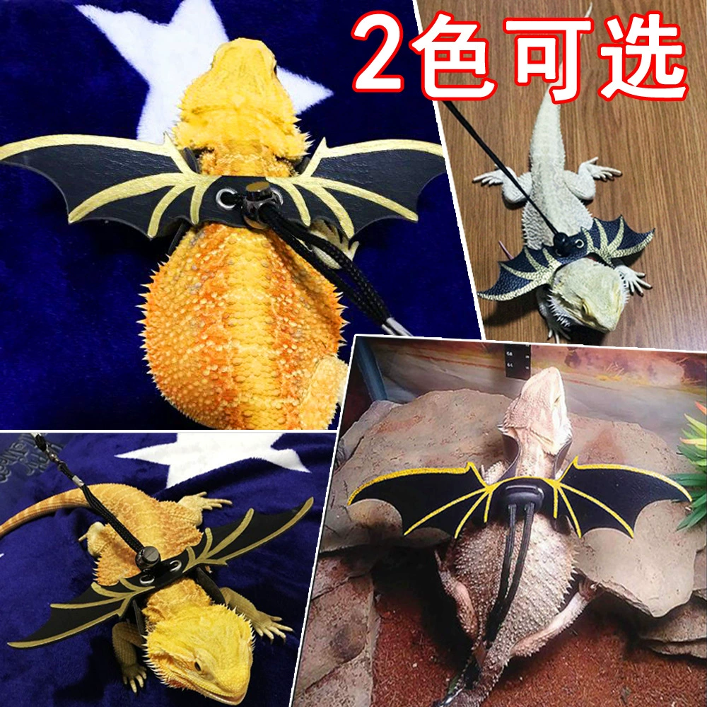 Тяговая веревка для ящерицы Альпинизм Pet Out Тяговая веревка Ходячая ящерица Веревка для маленьких домашних животных Кожаные крылья Тяговая веревка