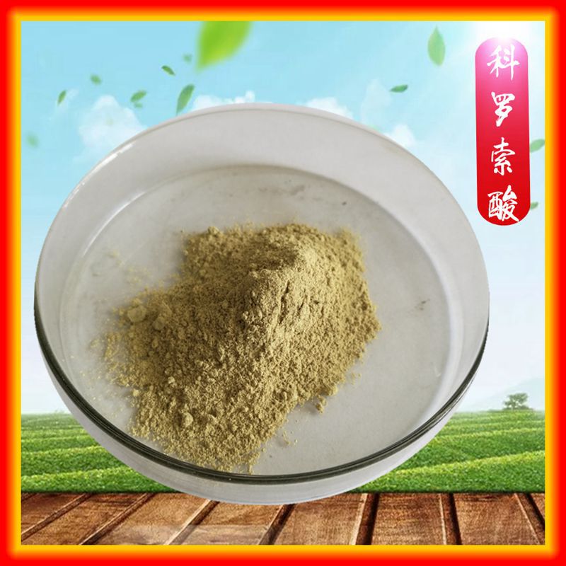 大花紫薇提取物 科罗索酸 10%-98%  巴拿巴提取物 天广源生物包邮