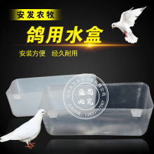 ����ʳ�� �����Ϻ� ʳ�� ���\���ӻ\���ð�ɫʳ�� ������Ʒ�þ�