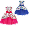 2024 Summer New Product Amazon Children's Children's Dresses Dress Net Speed Print Irregular Watersen Border Literary Gala