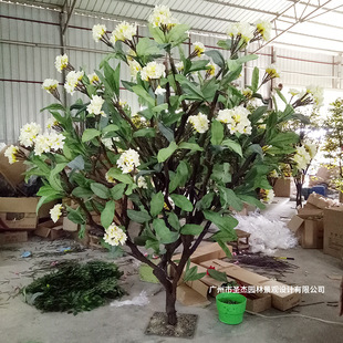 �V�ݷ����u�������҃����b���ľ�U�����ָ��u�����ٻ���S��ֱ�N