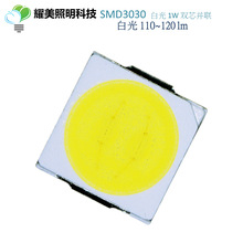 ֱSMD LED 3030 ׹ 1W   ˫о