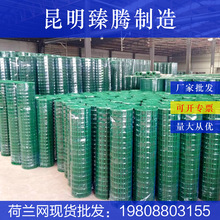 云南荷兰网园林圈地养鸡荷兰网浸塑圈地养殖网低碳钢丝养殖直供