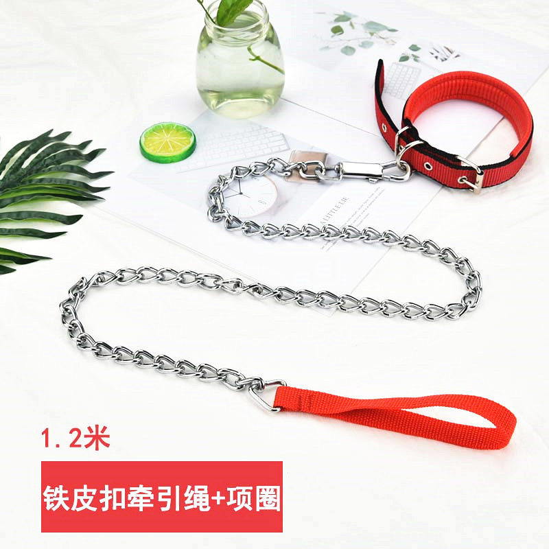 1.2 m 아이언 버클 [아이언 체인 + 칼라]