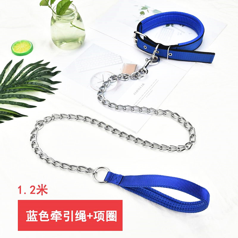 1.2 미터 블루 체인 + 칼라