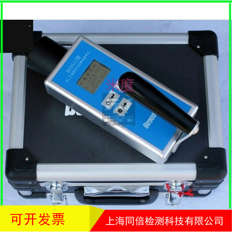 BG9521手持式辐射仪型环境监测X、γ吸收剂量率仪环境监测BG-9521