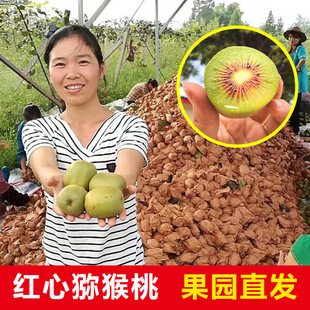 �����Ĵ��t�īJ����30ö�殐�����rˮ���ЋD����������������]