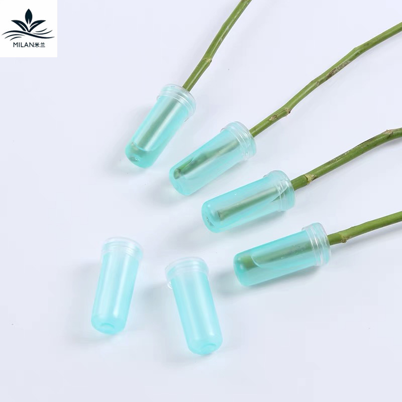 Tubo de Nutrición de flores frescas tubo de Orquídea tubo de cultivo tubo de almacenamiento de agua de transporte de flores tubo de nutrición material de herramienta floral