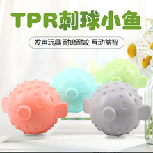 �¿�����������z��������С�~�l���ĥ�����X����