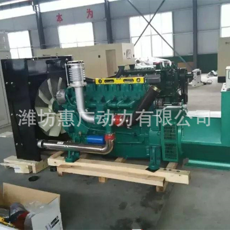 潍柴道依茨100KW千瓦柴油发电机组 物流公司应急常用发电机
