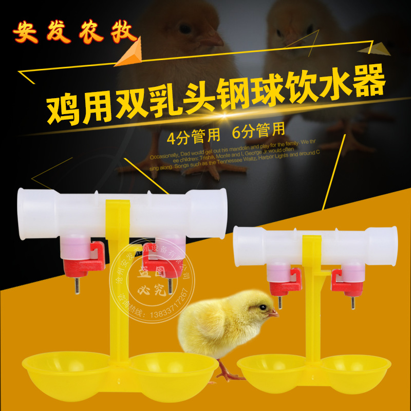 Duck and chicken ball valve -type drinking water heater chicken duck