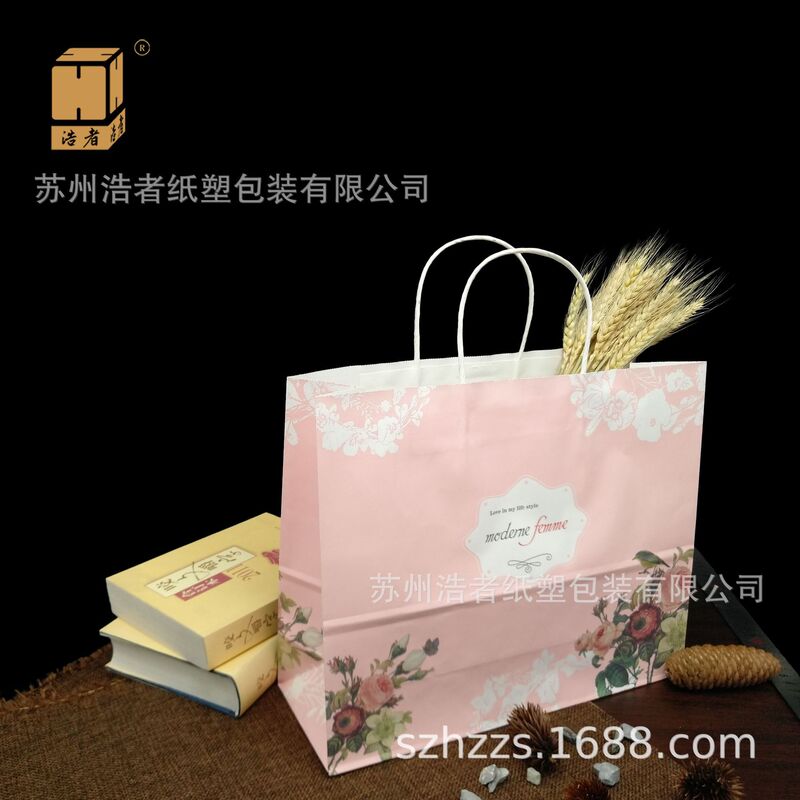 Haozhe Moderne Femme Shopping Bag Spring and Winter Clothing Packaging Bag Hand-Held Paper Bag Custom Printed Handbag