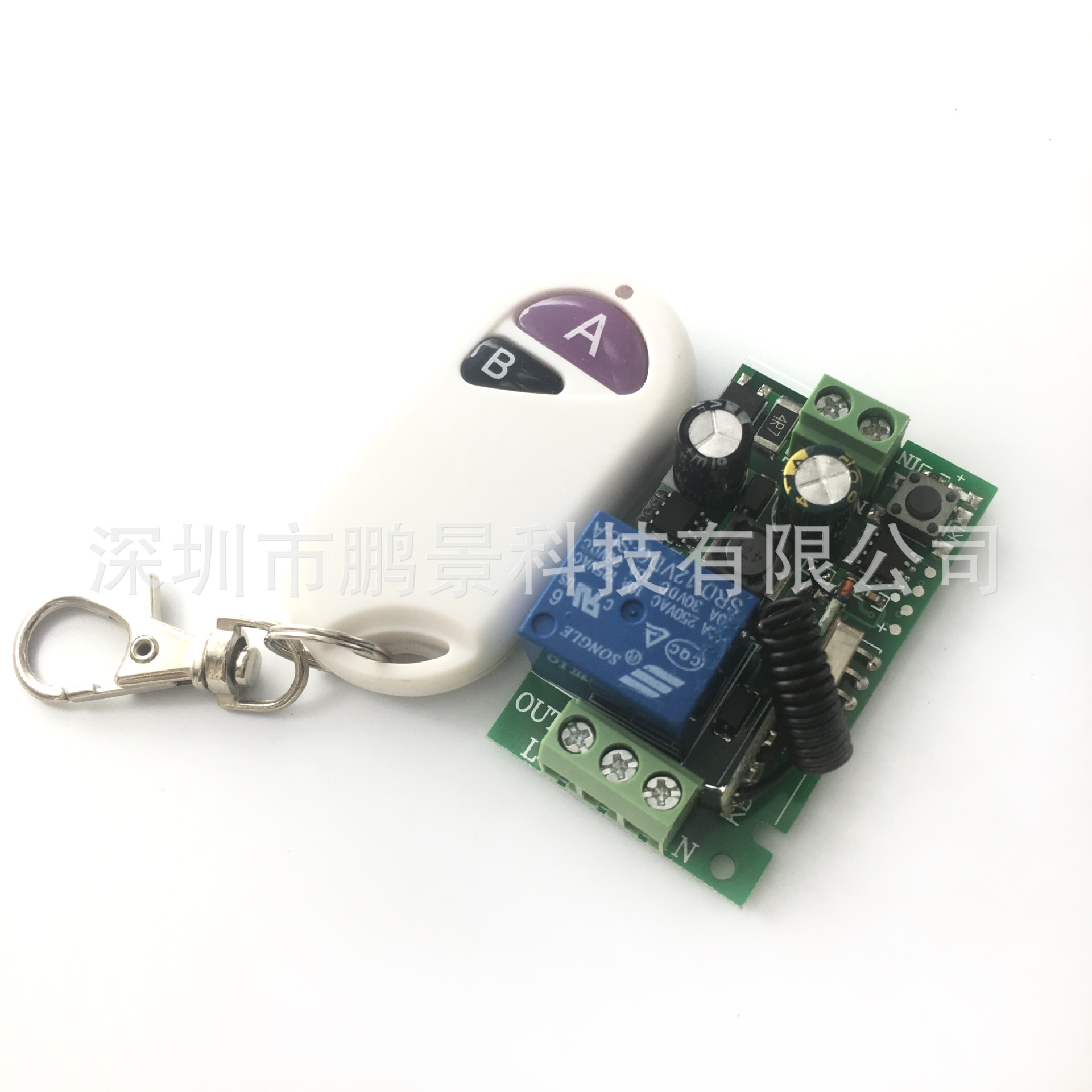 供应85-220V无线遥控开关电源 LED电源遥控开关配防水2键