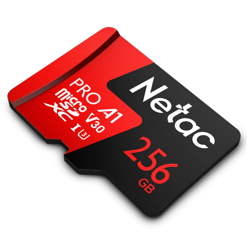 microSD memory card P500 / P500 PRO, 16–256 GB, Class 10 (C10) for mobile & CCTV