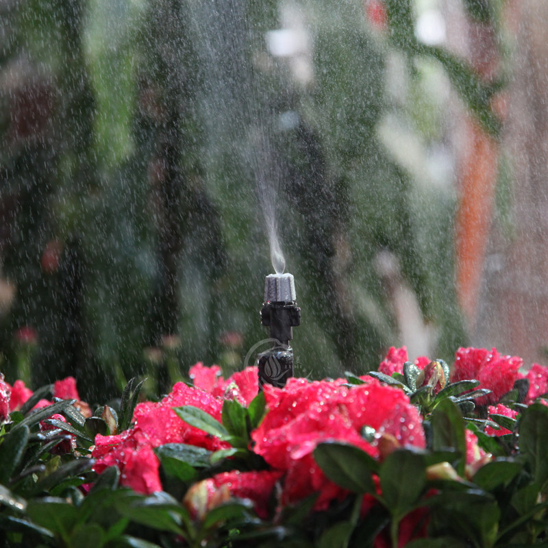 6mm gris de salida única atomización micro pulverizador no ajustable eliminación de polvo de plántulas enfriamiento humidificación jardinería doméstica riego