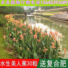 ˮ������ֲ�����������˽��N�Ӻɻ��{���Sβ�S�����R�m�JȔǧ����