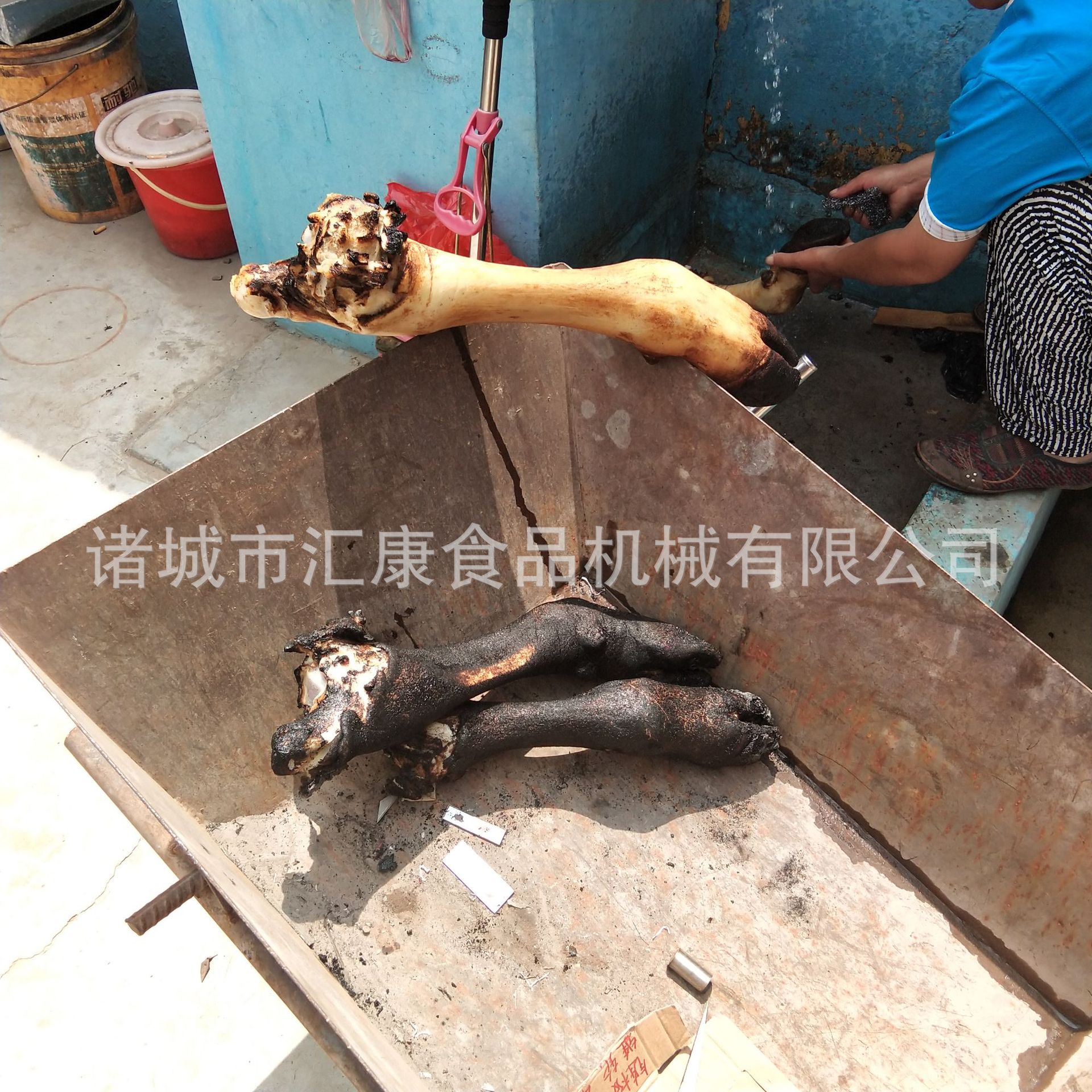 汇康液化气牛蹄烧毛机 旋转式猪头脱毛机 燃气驴蹄喷毛机除毛干净