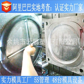 汽车塑料配件注塑模具PMMA透明灯罩 网红补光灯大型模具厂风叶轮