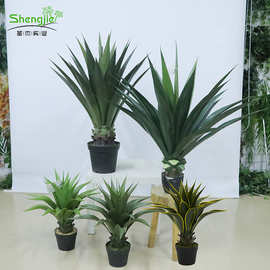 仿真剑麻盆栽办公室落地摆件龙舌兰假绿植装饰仿真虎皮兰植物现货
