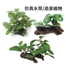 ����ˮ��/���~�ײ���ֲ��/ˮ�����~�������쾰�b�Ʒ��֬��ľ���^