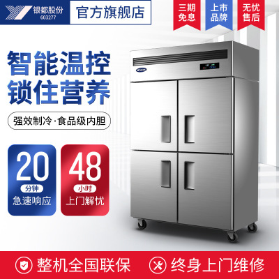 Silver Air Refrigerator Freezer Air No frost commercial Cold storage Fresh keeping Freezer Freezing