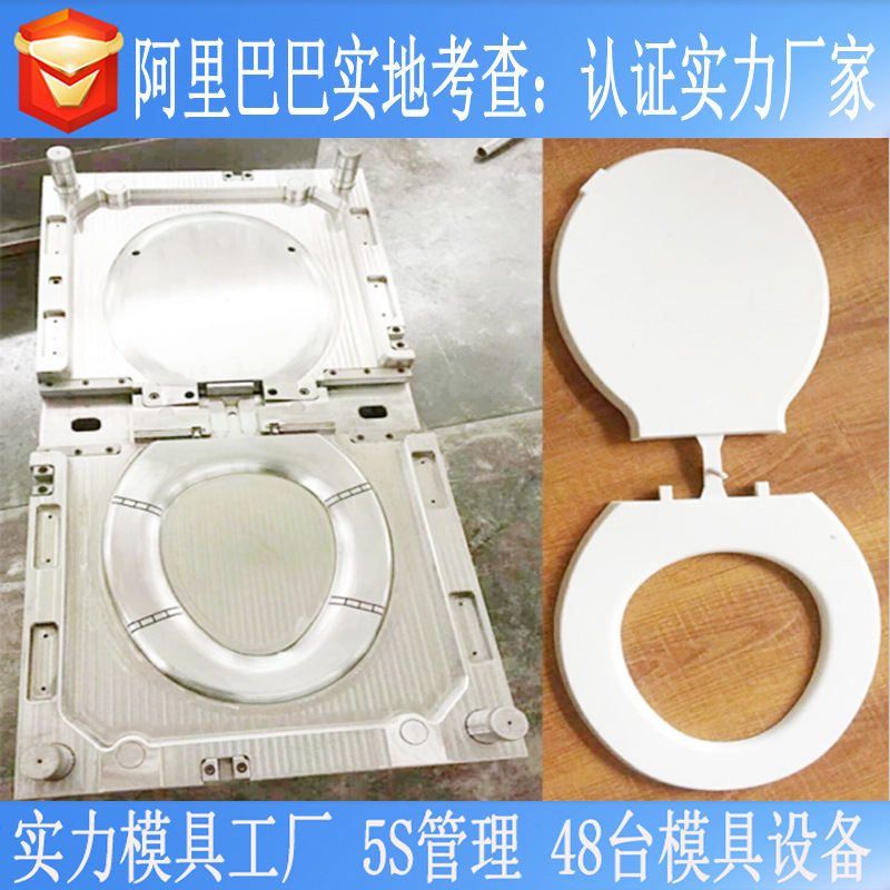 浙江余姚模具厂马桶盖增强注塑模具 防静电产品5S管理体系模具