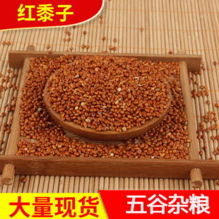 ���l�B�Z�r���Ԯa�����t�����Bʳ�������^��������Ӽt���Ӹ����