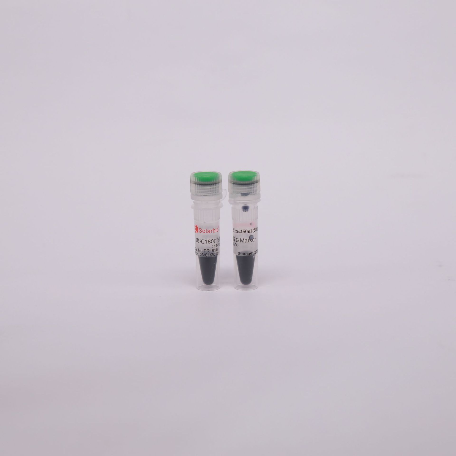 SE240 兔抗豚鼠IgG-HRP  Rabbit Anti-Guinea Pig IgG/HRP 科研用