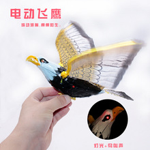 늄ӵ��������l�l���w�B�W�^ី�����s�U�����w���ؔ�������l