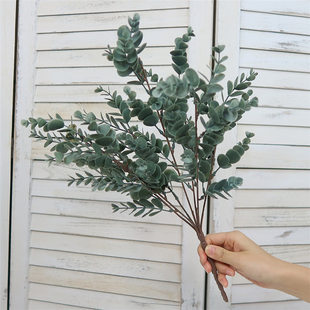 Nordic style simulation plants put Shujiagali Money Ye Home Wedding Wedding Decoration Green Plant Bonsai Flower Plant Wall
