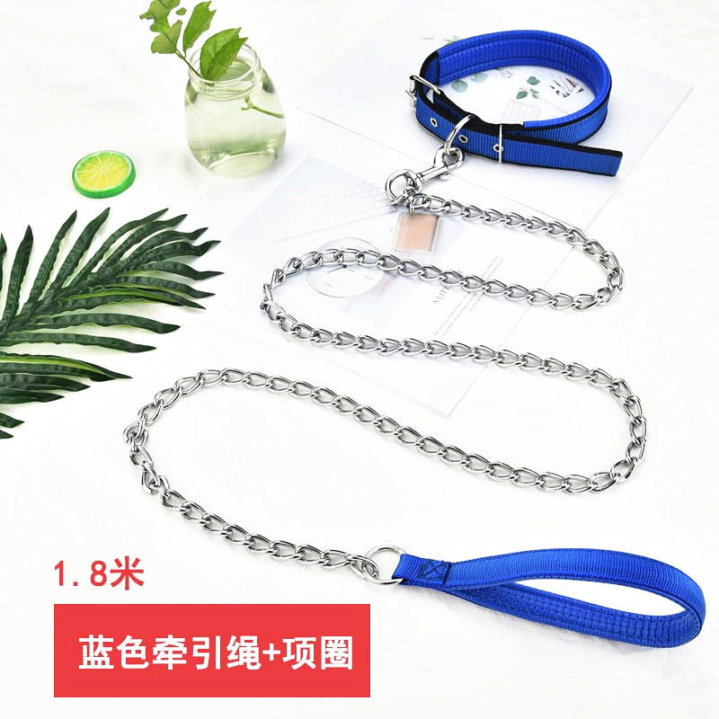 1.8 미터 블루 체인 + 칼라