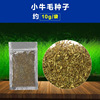 Aquatic grass seed aquarium, fish tank landscaping bottom sand mud germinated seed grass tank seeds