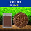 Aquatic grass seed aquarium, fish tank landscaping bottom sand mud germinated seed grass tank seeds