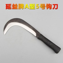 ������A��5̖��   ����   ����   �r�õ���   砵�  ��ݵ�