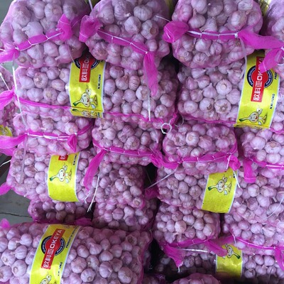 欧科亚供应20kg网袋金乡大蒜纯白大蒜出口迪拜斯里兰卡