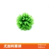 Green Eucalyptus Ball (Outer diameter 20cm)