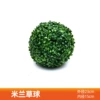 Milan Grass Ball (Outer diameter 23cm)