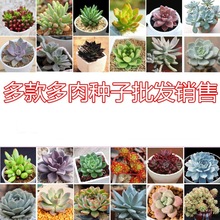 ����N��ֲ���ļ��ײ��k���҃���ʯ����¶����N���ײ�����