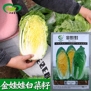 �����޲˷N�� �r��ˈ@�Nֲ�s�������S�����޲����߲˷N��