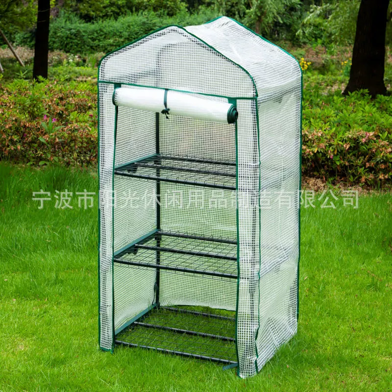 Ссуккуленты для растений