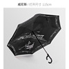 Automatic double-layer umbrella, street transport