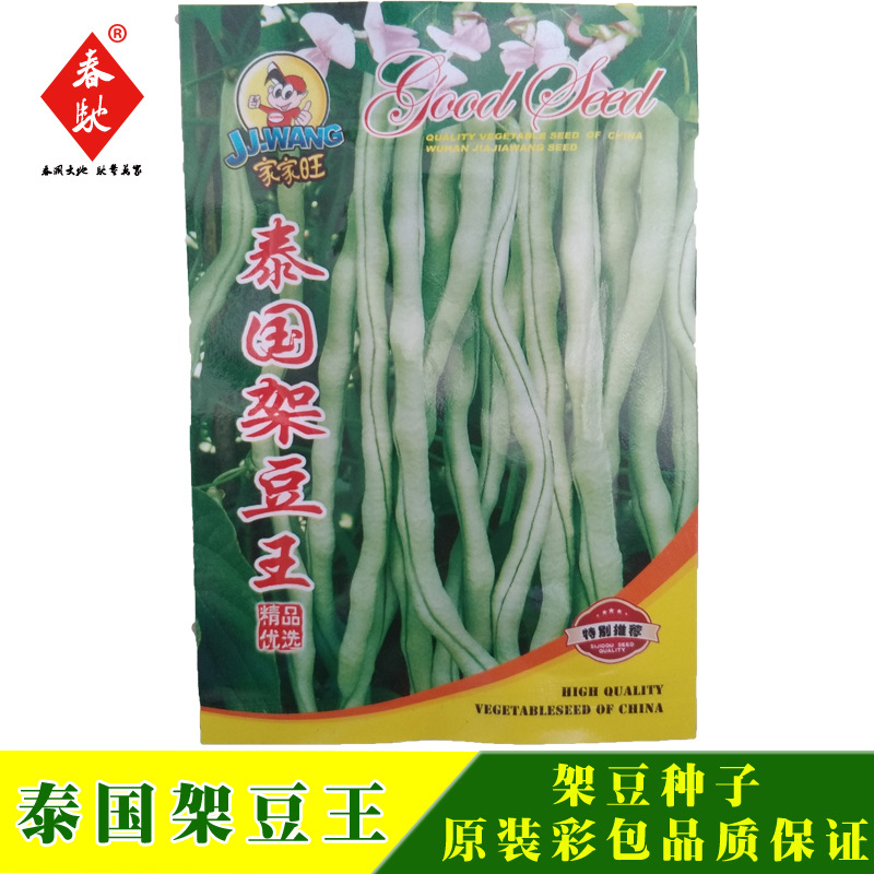 泰国架豆王种子 无筋架豆 长芸豆 菜豆 四季豆 青豆种籽 20g早熟