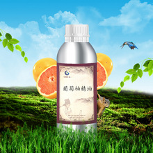 �|¡�����ֆη����� ����Ƥ�w�坍��Ħ�����{�����w�o��ֲ����