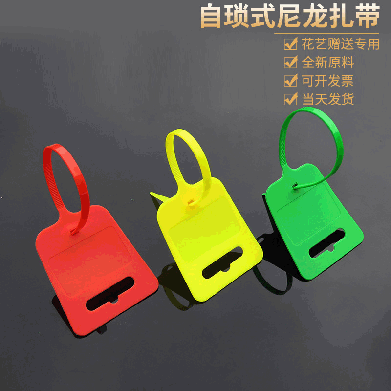 标牌扎带飞机孔大标牌黑色尼龙扎带全新尼龙66 环保测试塑料扎带