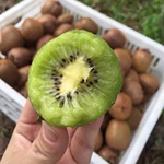 ��������⨺����������������ˮ�������������A�ֺ��Ҵ�������