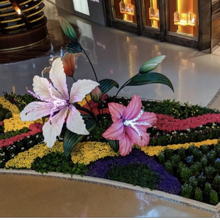 Դ�^�S�� 10��ĥ�Z����Ʒ�| ����䓵��� ������ �M����������