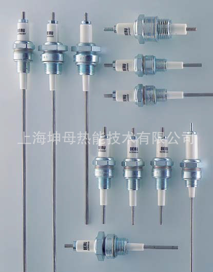 BERU/贝鲁电极ZE 6-55-11-30BKA1火花塞